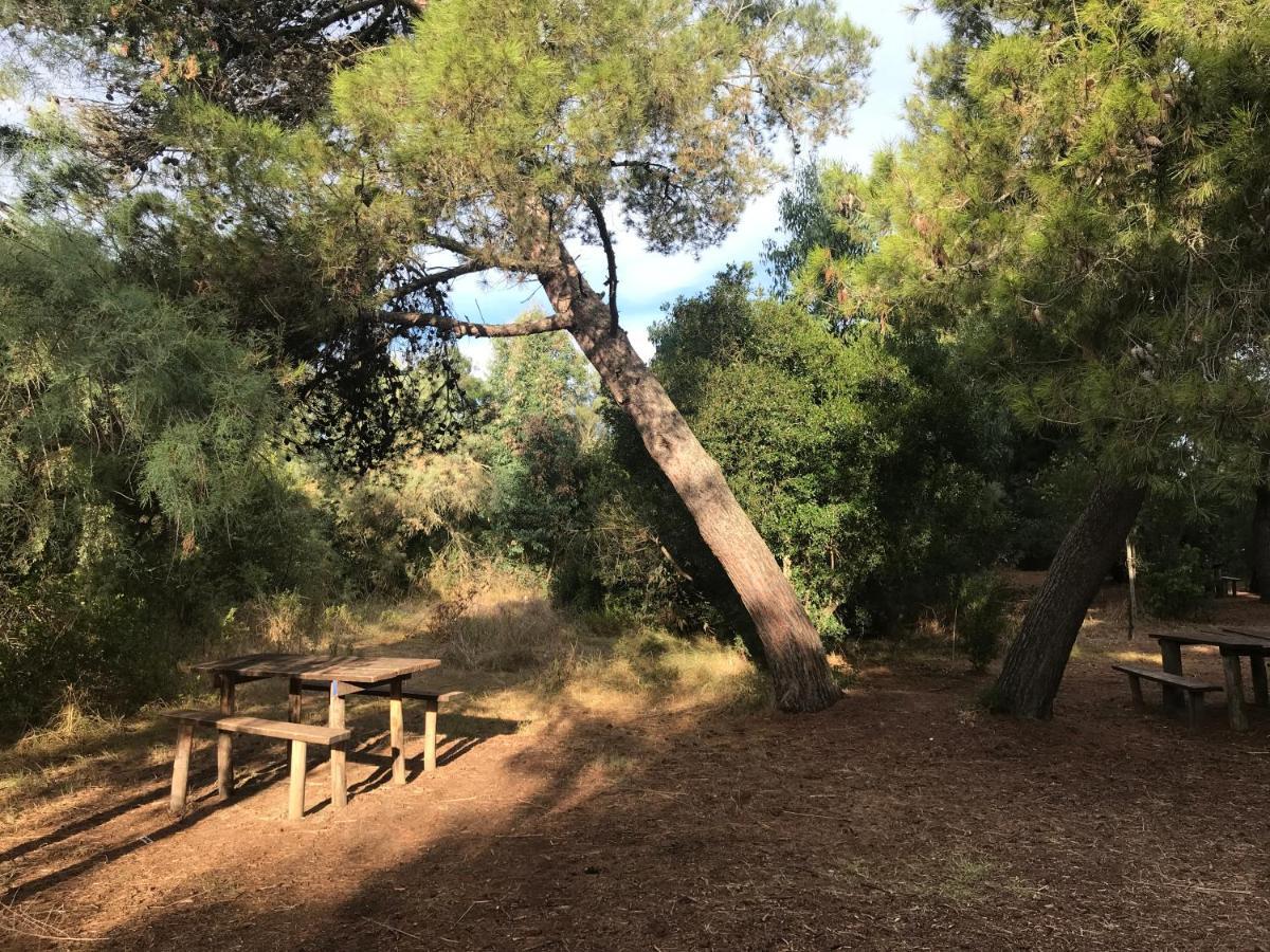 Vento Etrusco Hotell Riotorto Exteriör bild